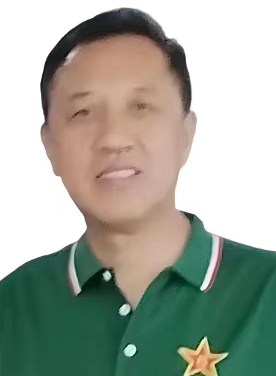 副主席：辛建民